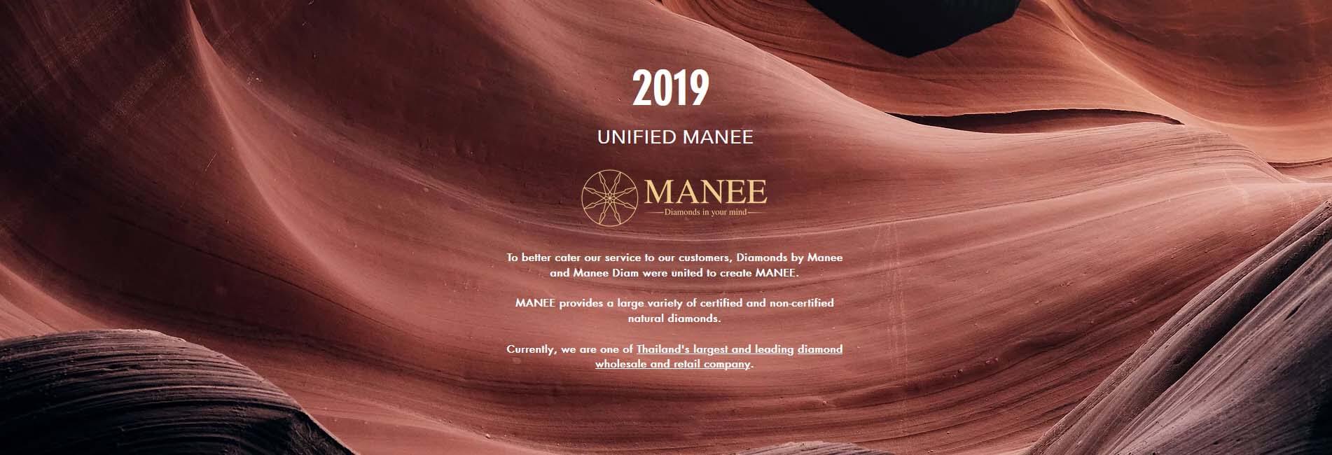 Best Diamond Wholesaler - Diamonds By Manee