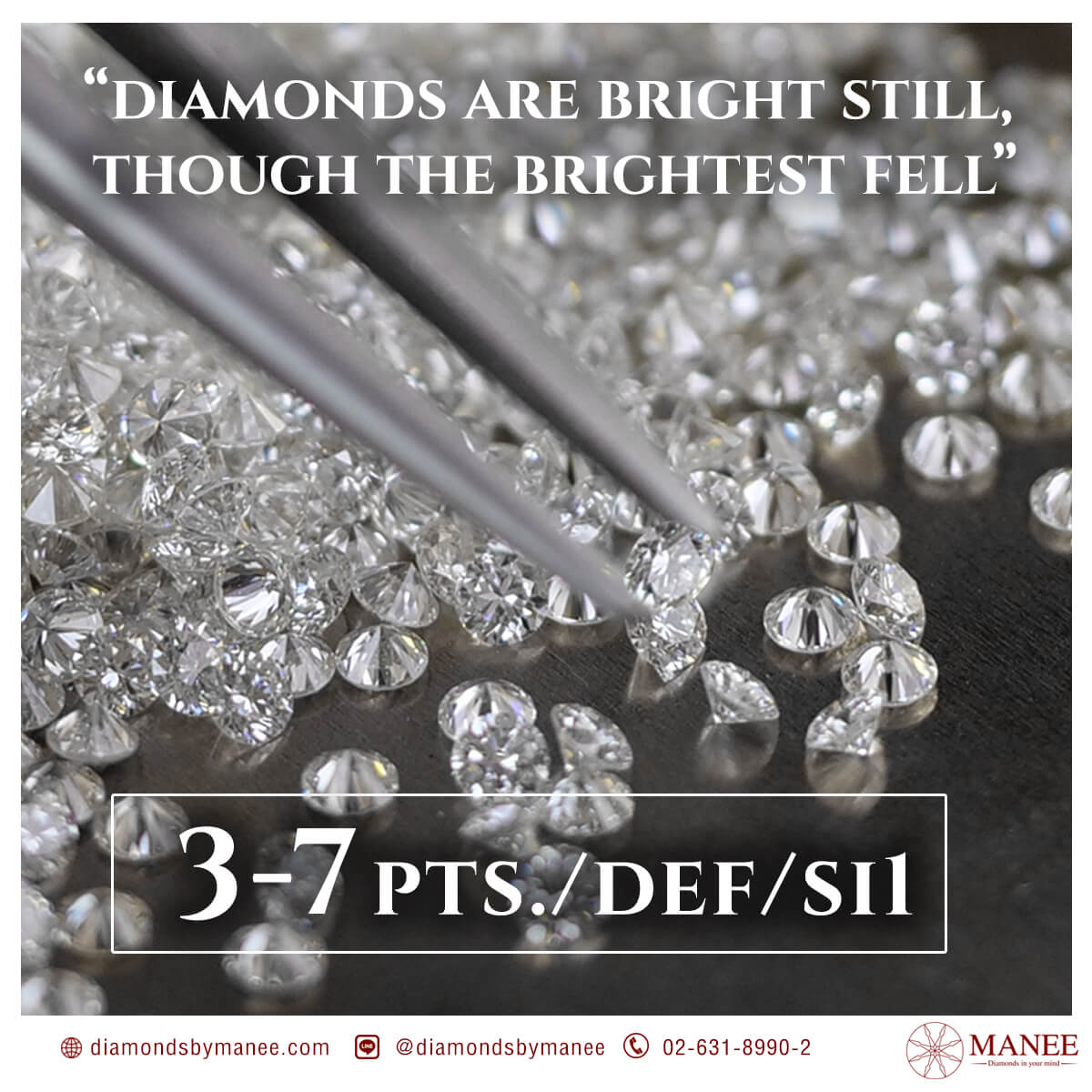 เพชรขนาด 3-7 ตังค์ ความสวยงามที่คัดมาให้เน้นๆ เพชรขนาด 3-7 ตังค์ ความสวยงามที่คัดมาให้เน้นๆ