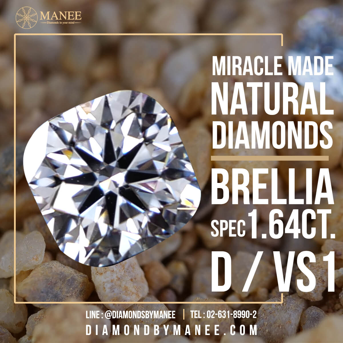 เพชร Brellia แรร์สุดๆ! เพชร Brellia แรร์สุดๆ!