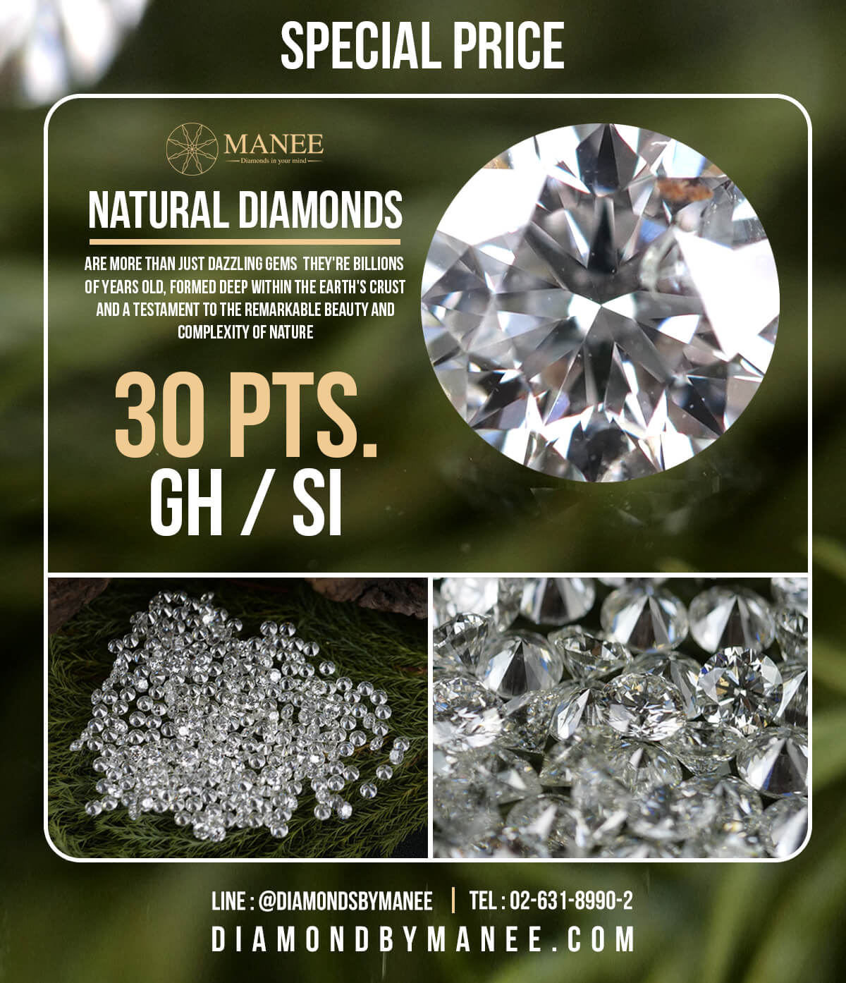 เพชรธรรมชาติขนาด 30 ตัง ราคาร้อนแรงสุดๆ เพชรธรรมชาติขนาด 30 ตัง ราคาร้อนแรงสุดๆ