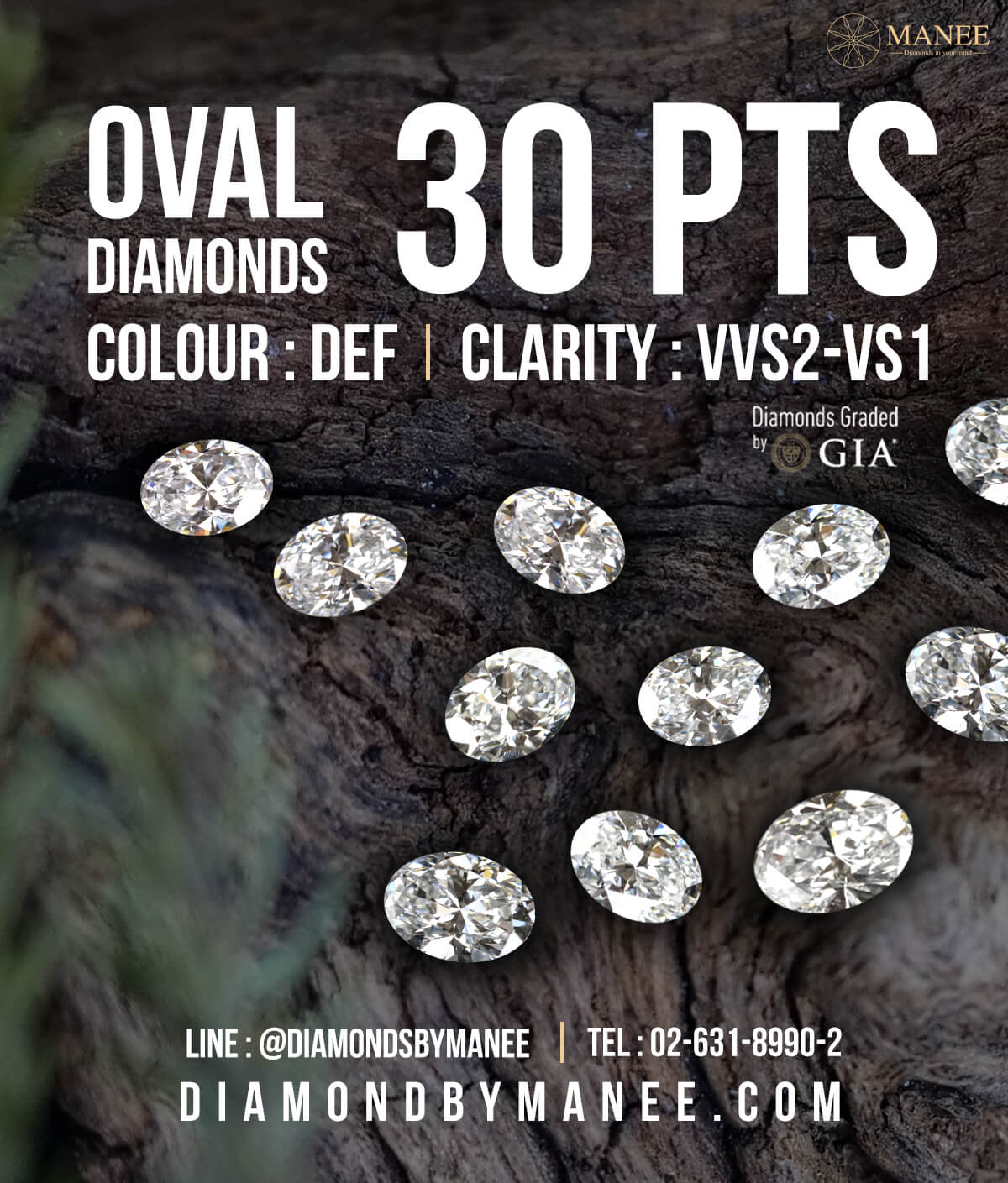 เพชร Oval 30 ตัง การันตีโดย GIA สุดคุ้ม! เพชร Oval 30 ตัง การันตีโดย GIA สุดคุ้ม!