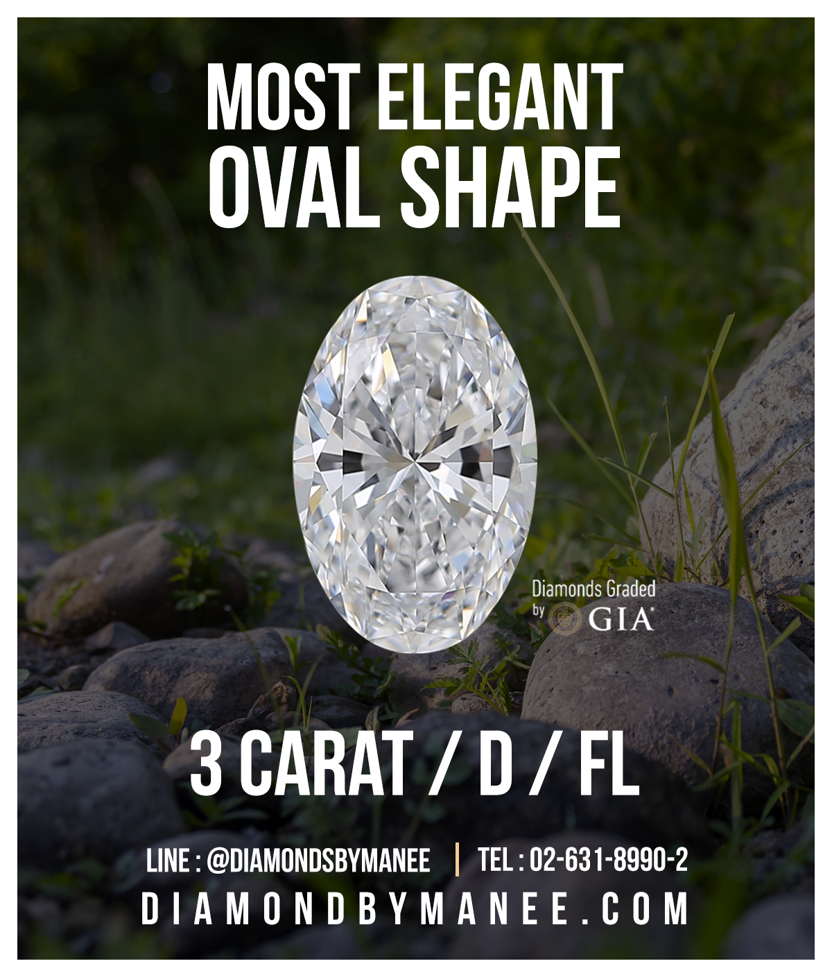 Oval 3 CT/D/FL/GIA Oval 3 CT/D/FL/GIA