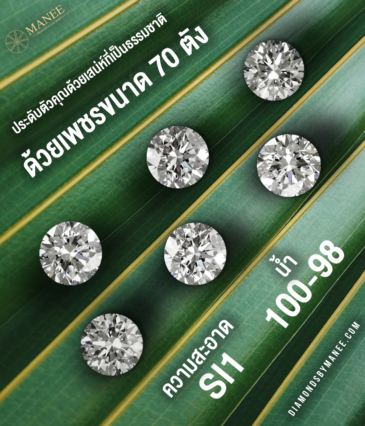 ประดับตัวคุณด้วยมนต์เสน่ห์ ประดับตัวคุณด้วยมนต์เสน่ห์