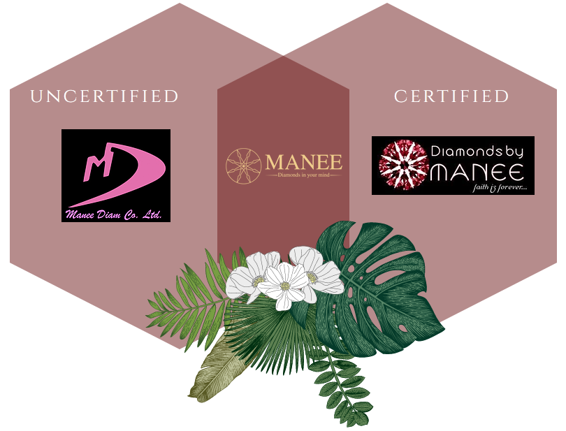 Best Diamond Wholesaler - Diamonds By Manee